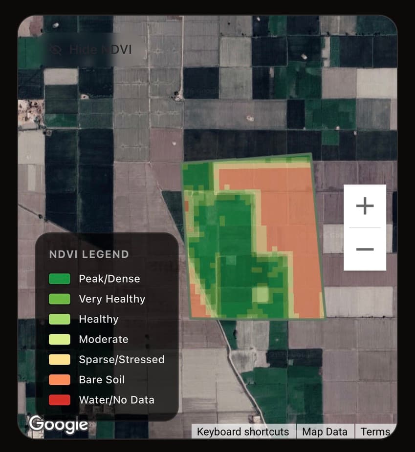 Cropple.AI dashboard — NDVI satellite field view